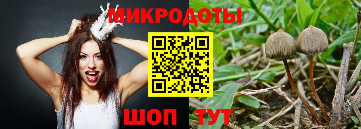 Псилоцибиновые грибы Cubensis  Вход с VPN  Приморско-Ахтарск  Галлюциногенные грибы Cubensis 